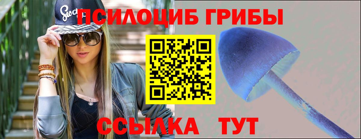 Псилоцибиновые грибы прущие грибы  Псилоцибиновые грибы Cubensis  Канаш  дарнет шоп  Вход с VPN 